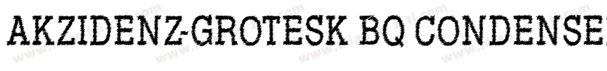 AKZIDENZ-GROTESK BQ CONDENSED REGUL字体转换